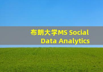 布朗大学MS Social Data Analytics